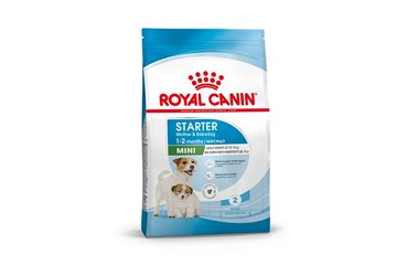 Royal Canin Starter Mini