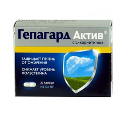 Гепагард актив