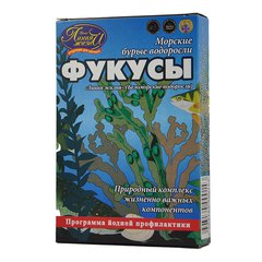 Фукус морская водоросль