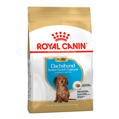 Корм для щенков ROYAL CANIN Dachshund Puppy для породы Такса до 10мес сух.