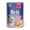 Корм для кошек BRIT Premium Cat Jelly Кусочки из куриного филе в желе пауч