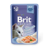 Корм для кошек BRIT Premium Cat Jelly Кусочки из филе лосося в желе пауч